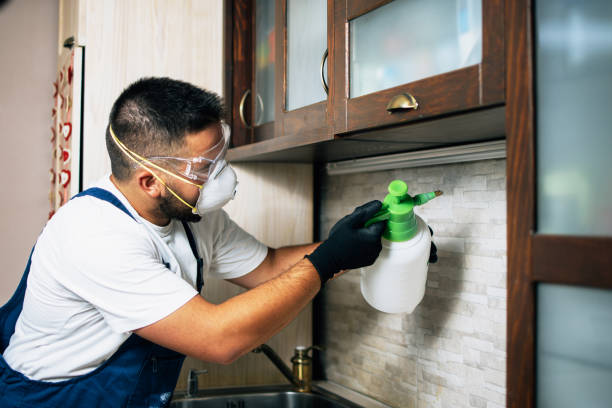 Best Best Pest Control Companies  in Clifton, CO