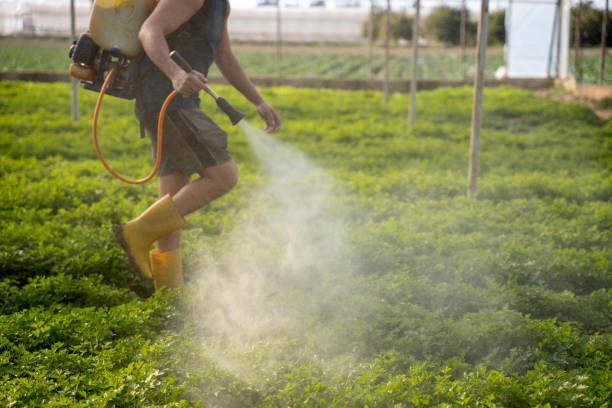 Best Wildlife Control Services  in Clifton, CO