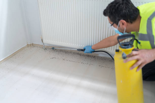 Best Best Pest Control Near Me  in Clifton, CO
